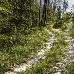 SUV & Gelände || Offroad Training