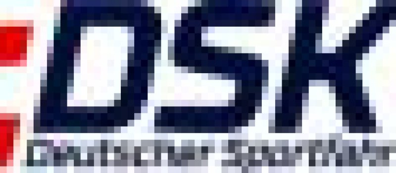 22_08_FINAL_LOGO_DSK 1